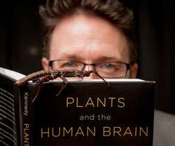 Plants and the human brain: Why humans think like insects