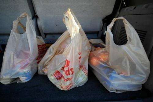 Plastic grocery bags are seen in the back of a car on November 17, 2010 in La Crescenta, California