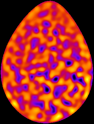 Plover egg analysis