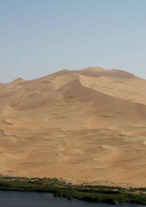 Researchers bulldoze desert to learn how sand dunes form