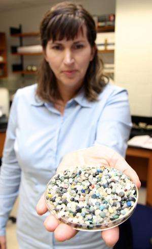 Polyethylene and polypropylene beads threaten shoreline ecosystems