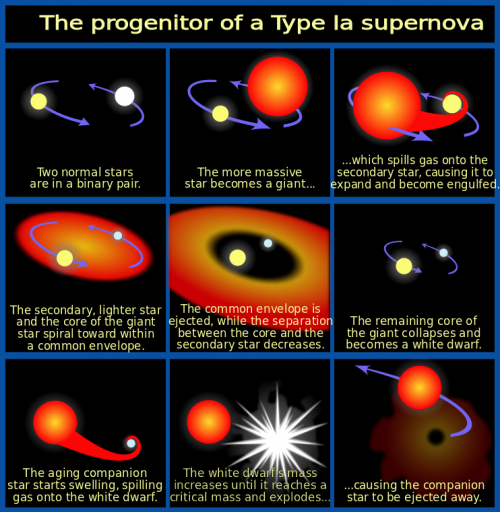 Possible bright supernova lights up spiral galaxy M61