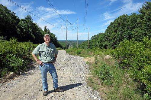 Power lines offer environmental benefits