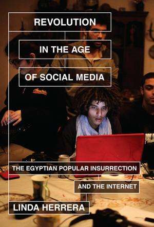 Power struggles, doubt all found in the Facebook of Egypt's revolution