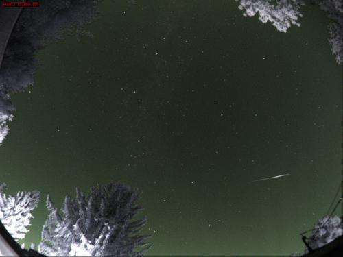 Prospects for the 2014 Perseids