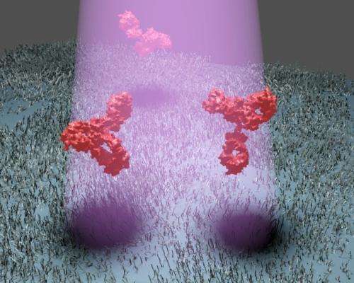Proteins can be easily and sensitively detected by their scattered light