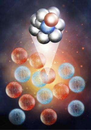 Protons hog the momentum in neutron-rich nuclei