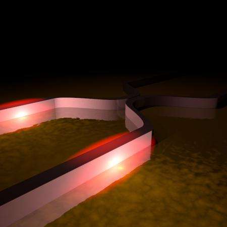 Quantum photon properties revealed in another particle -- the plasmon
