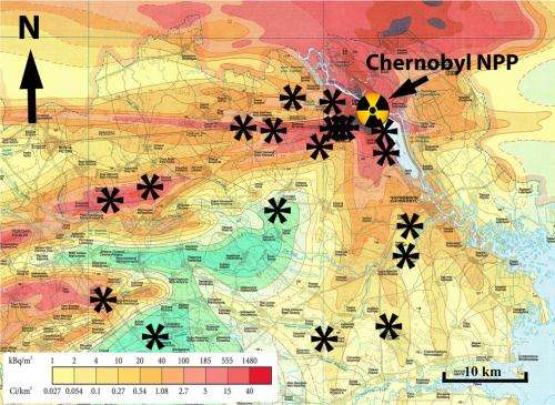 Radiation damage at the root of Chernobyl's ecosystems