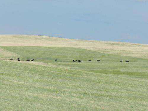 Ranchers benefit from long-term grazing data