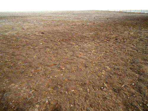 Rangeland management is key to surviving drought