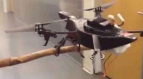 Falcon-inspired drone has legs, will perch and land