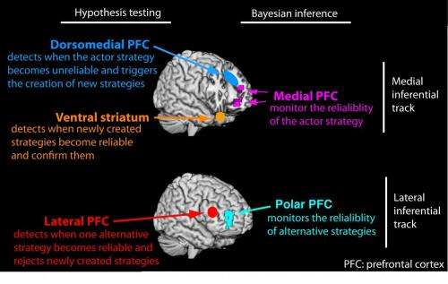 Reasoning processes in the prefrontal cortex