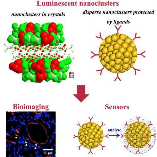 Recent advances in the controlled synthesis and functional applications of luminescent metal nanoclusters