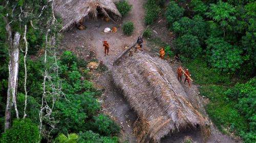 Remote surveillance may increase chance of survival for 'uncontacted' Brazilian tribes