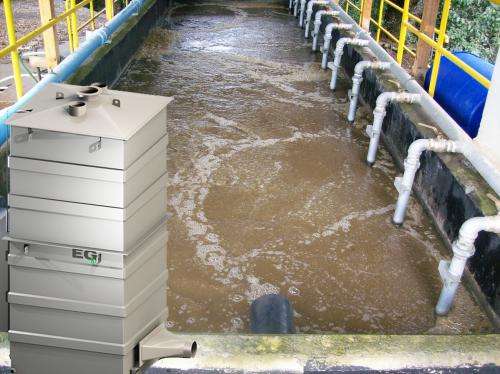 Removing odor from wastewater using bacteria