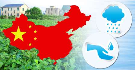 Reorganization of crop production and trade could save China's water supply