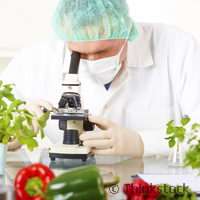 Research offers 'promise' of improved food safety