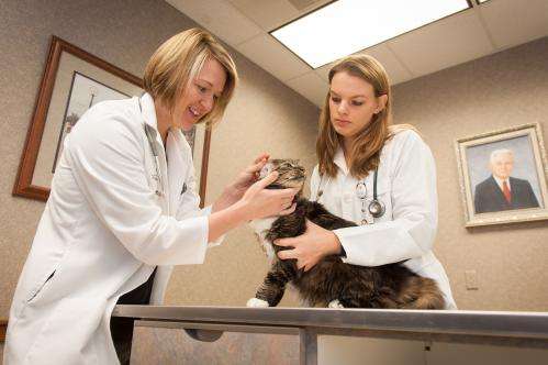 Research prevents zoonotic feline tularemia by finding influential geospatial factors