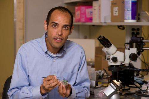 Rice researcher rebooting 'deep brain stimulation'