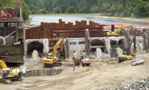Rivers recover natural conditions quickly following dam removal