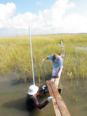 Scientist gets more support to study Deepwater Horizon spill impact on coast