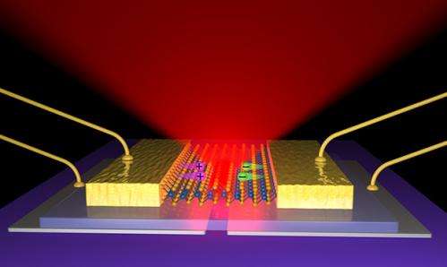 Scientists build thinnest-possible LEDs to be stronger, more energy efficient