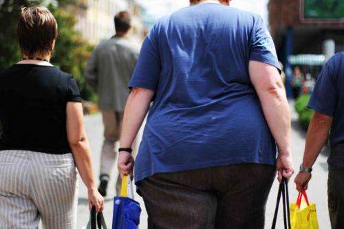 Scientists closing in on new obesity drug