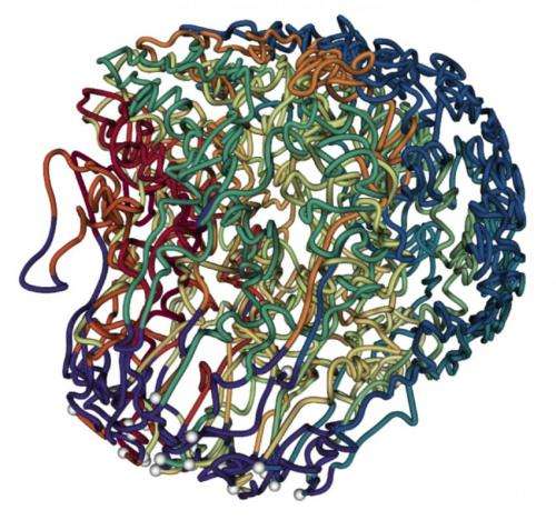 Scientists generate 3D structure for the malaria parasite genome