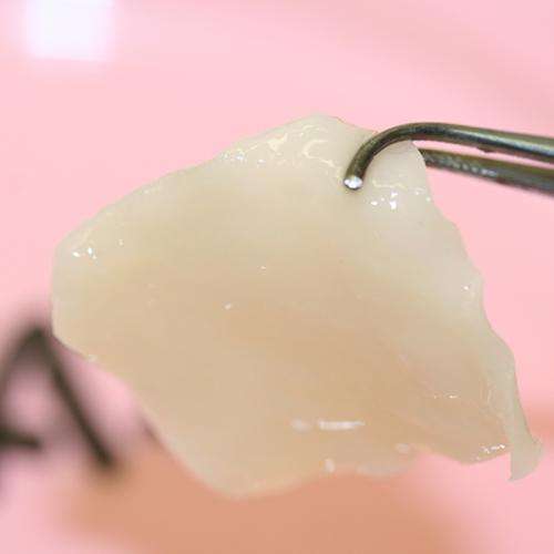 Scientists grow cartilage to reconstruct nose