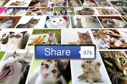 Scientists learn to predict which photos will go viral