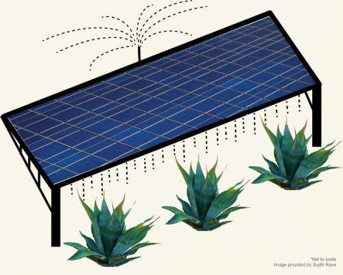 Scientists model a win-win situation: Growing crops on photovoltaic farms