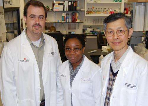 Scientists slow brain tumor growth in mice