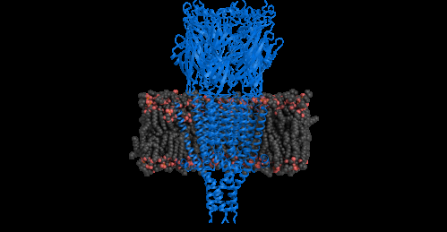 Serotonin receptor structure revealed