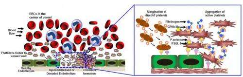 Shape of things to come in platelet mimicry