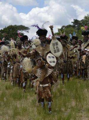 Shembe men, members of the Shembe Church (Nazareth Baptist Church), a traditionalist Zulu church, clad in leopard-skin, dance du