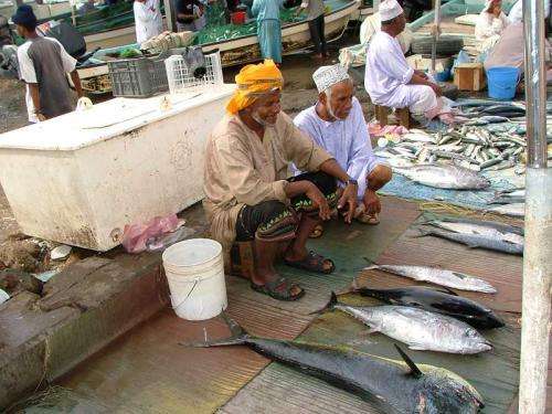 Shift in Arabia sea plankton may threaten fisheries