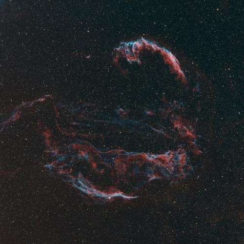 Shocks in the Cygnus Loop Supernovae Remnant