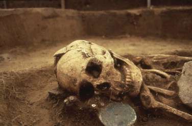 Siberian Bronze Age skull reveals secrets of ancient society