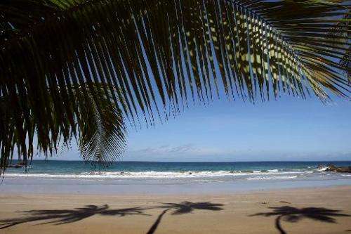 Silhouettess of palm trees are seen on the sand in a beach in Bacolet, Tobago on June 6, 2009