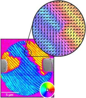 Simultaneous imaging of ferromagnetic and ferroelectric domains