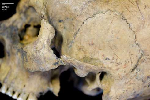 Skulls suggest Romans in London enjoyed human blood sports
