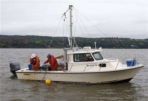 Speedy surgery puts transmitters into Hudson fish