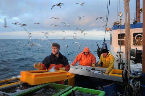 Stratification determines the fate of fish stocks in the Baltic Sea