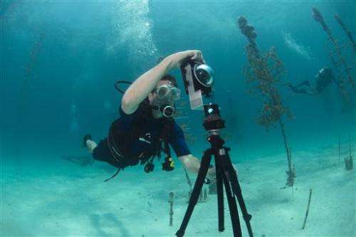 'Street view' goes undersea to map reefs, wonders