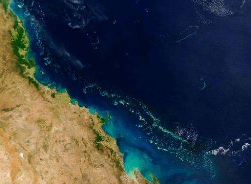 Stretching along more than 2,000 km (1,200 miles) of Australia's eastern coast is one of the world's formost natural wonders - T