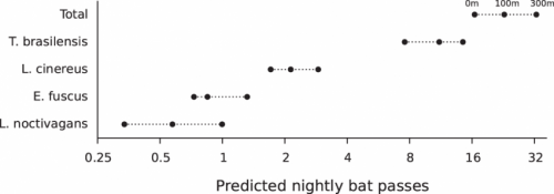 Study confirms highways are bad news for several bat species
