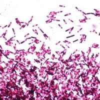 Study finds serious C. Difficile rates on rise in hospitals