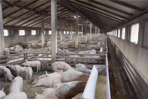 Success installing wastewater treatment plants on slaughterhouses