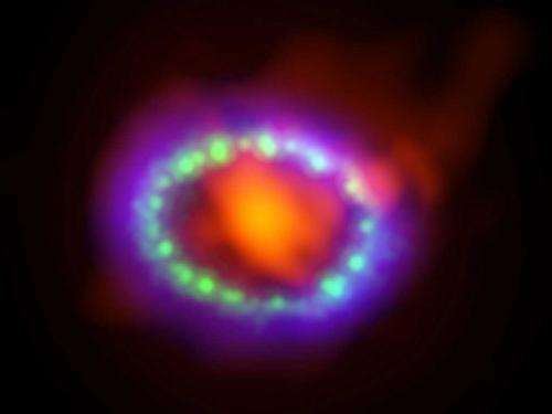 Supernova's super dust factory imaged with ALMA
